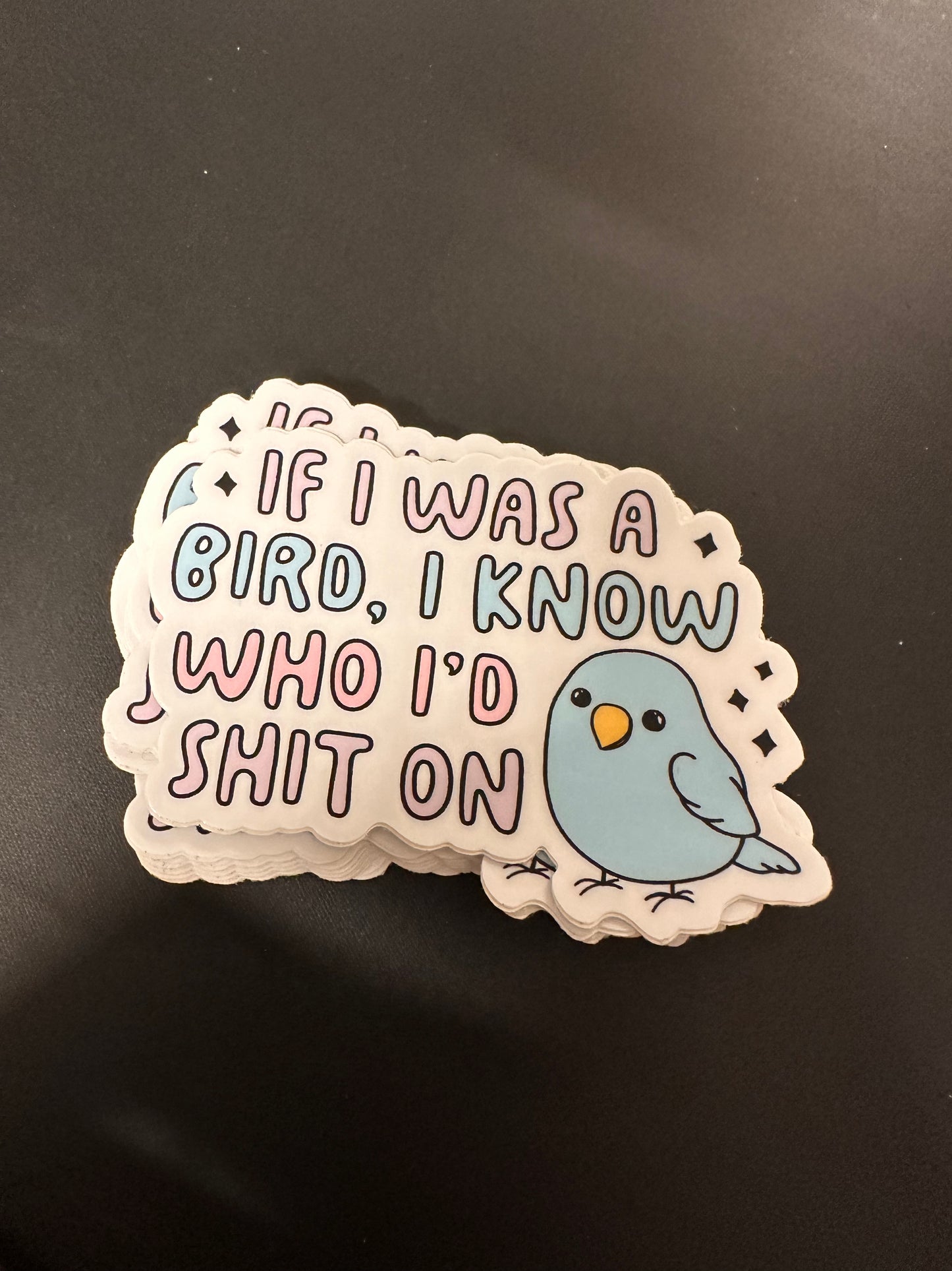 If I was a bird